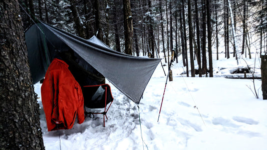 Winter 2020 Vacation