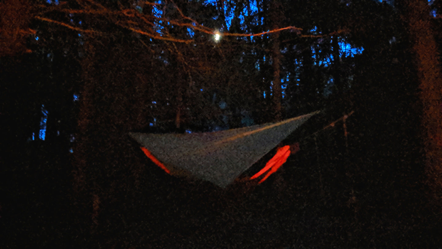 Pinchot Sounds: 12 Hours of Pinchot State Forest