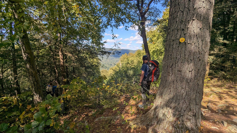 Trail Notes: Four Days Across Pennsylvania's Loyalsock Trail