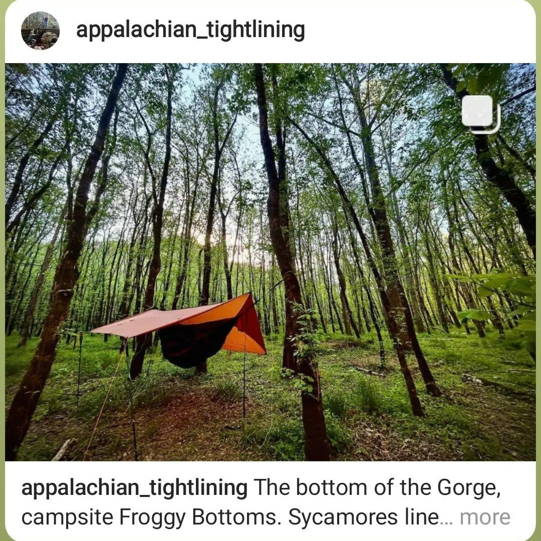 Awesome Spot