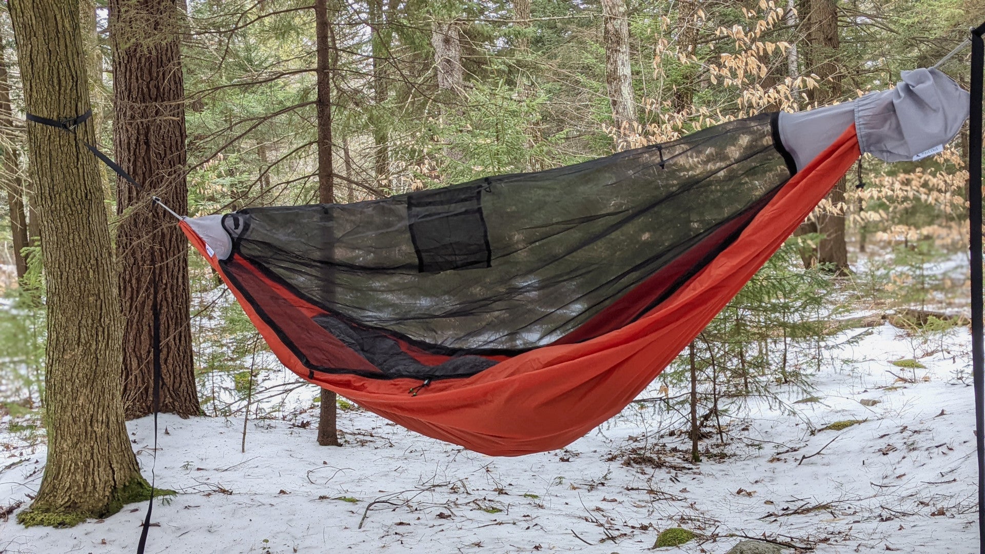 Mountain hammock 2024