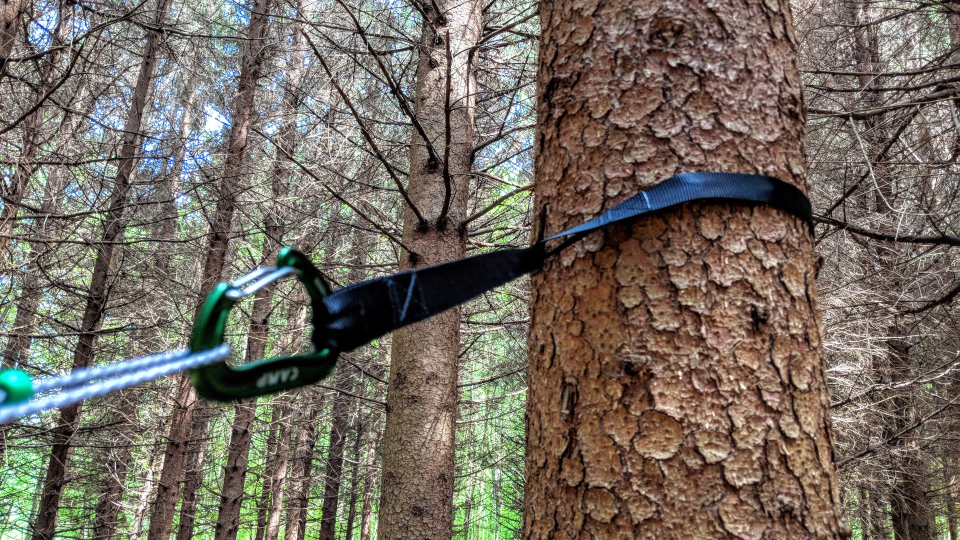 Tree 2024 hugger straps